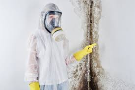 Mold Remediation for Vacation Homes in New Stanton, PA